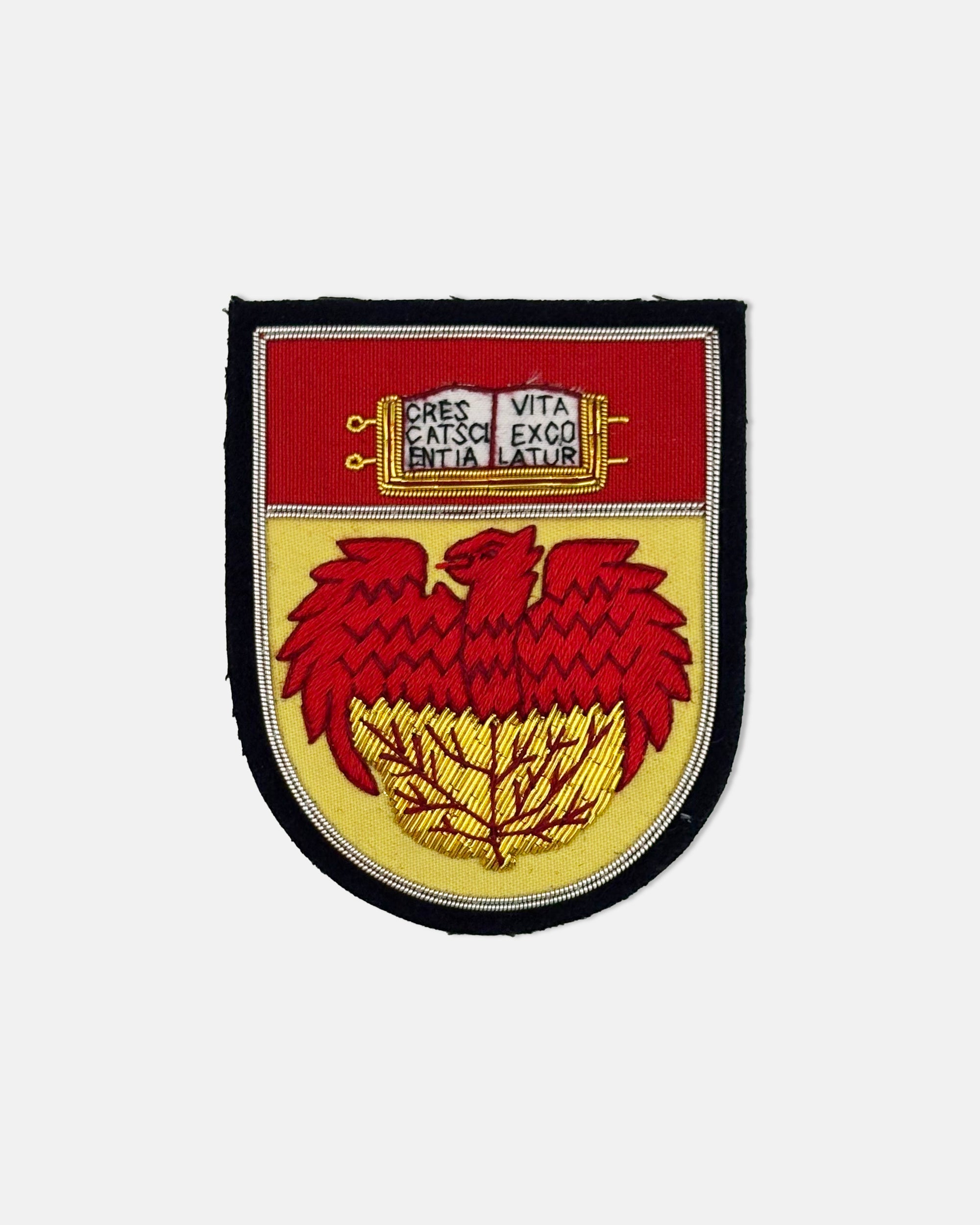 University of Chicago Vintage Blazer Badge
